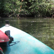 Guaimoreto Lagoon Kayak