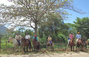 Horseback Riding Adventure & Nature Park